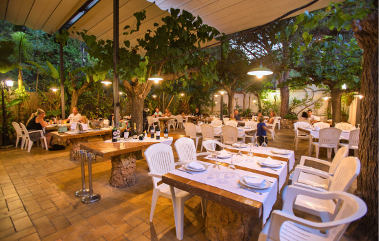 Diseño sin título (1)